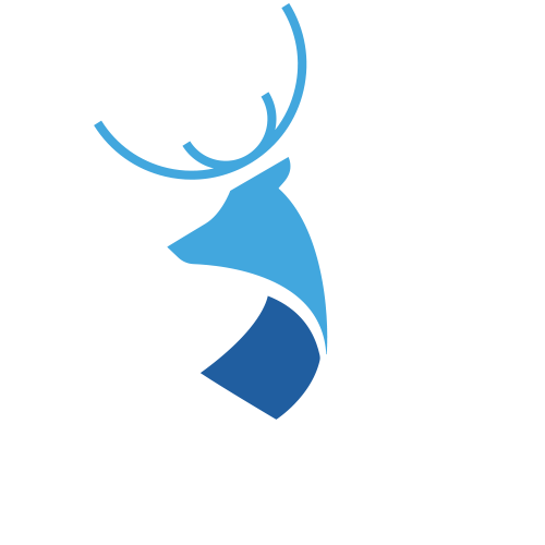 BlueDeer